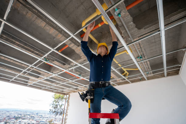 Best Local Plumber Services  in Waimanalo, HI